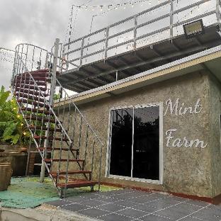 Mint Organic Farm Stay,Wangchin,Phrae