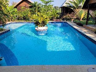 Mister check paradise