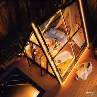 Morning Star Glamping