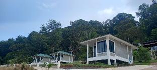Mountain View amidst Lush Nature, Experience Mist in the Rainy Season