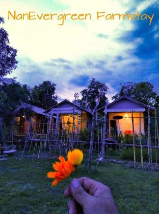 Nan Evergreen Countryhome