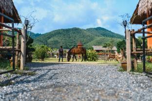 Niran Farm