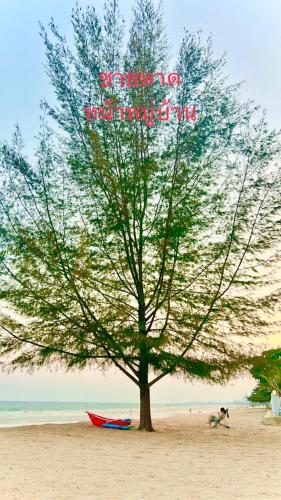 Oriental Beach By Winnie