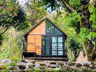 P.P. hill&house