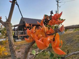 PATCHARA VIEW HOTEL UBON RATCHATHANI