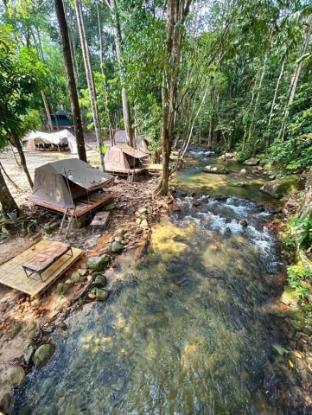 PHURI CAMP BEACH LIFE