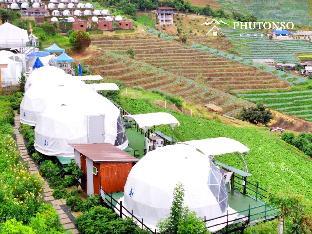 Phutonso ภูต้นซ้อ ม่อนแจ่ม เชียงใหม่