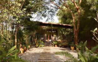 Plantation View