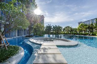 Pool Access &quot;The Cat&#039;s Room&quot; Next to Swimming Pool, Big Pool
