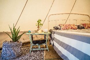 Retro Mountain Koh Phangan Luxury Tent
