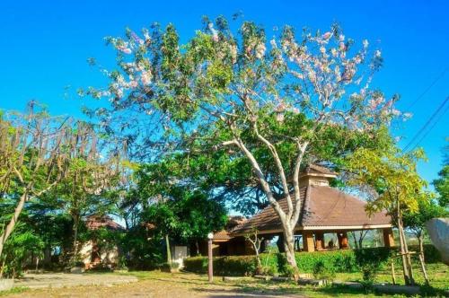 Rimpuhill resort