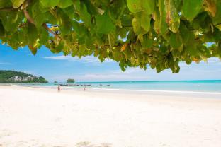 Safari 1br apartment Pool walk to Beach