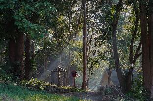 Sappraiwan Elephant Resort &amp; Sanctuary
