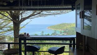 Seaview Tree House: 50% April-May Discount!