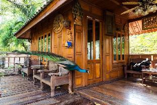 Thai Woodhouse - Peacock Room