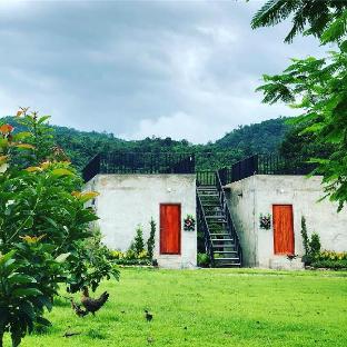 The Leaf Homestay/ bungalow for 2 with rooftop (2)