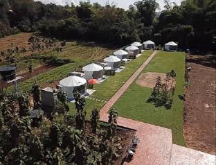 The Meadow Glamping Resort