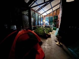 The Private cCmping by The Organic Hut