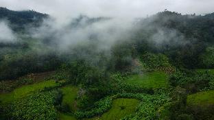 Thung Yung Homestay (Room 1)