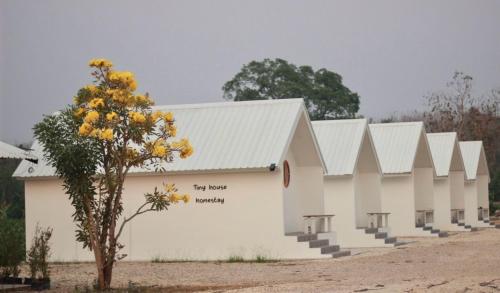 Tiny house homestay &amp; cafe T3-T5