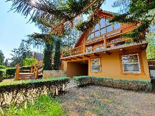 Toscana Valley Log Home
