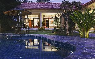 Tree Roots Retreat
