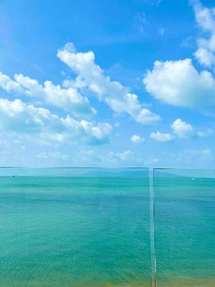 Two Bedroom Beachfront Aqua Apartment 2 SDV374