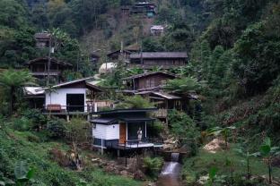 Udom Homestay &amp; Coffee Farm