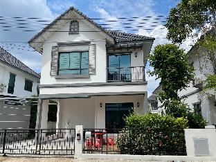 Urban Home