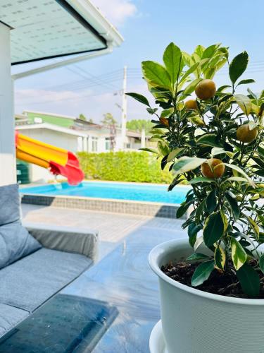 Victoria Poolvilla Pattaya by Chon