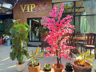 Vip villa2