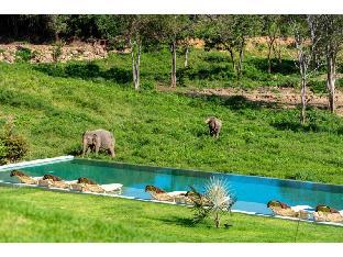 Wild Cottages Elephant Sanctuary Resort