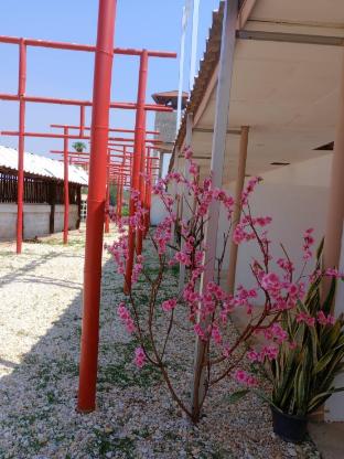 Yama motel ยามะโมเทล ヤマモテル