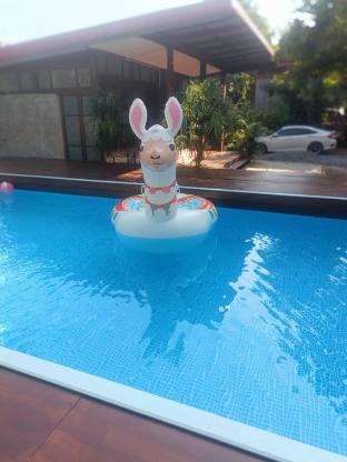มะหาทะเล