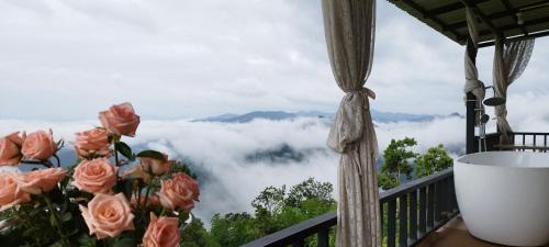 แจ่มฟ้าเมาท์เท่นวิว Chaemfa Mountain View