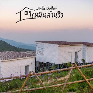 ไร่หมื่นล้านวิว เชียงใหม่